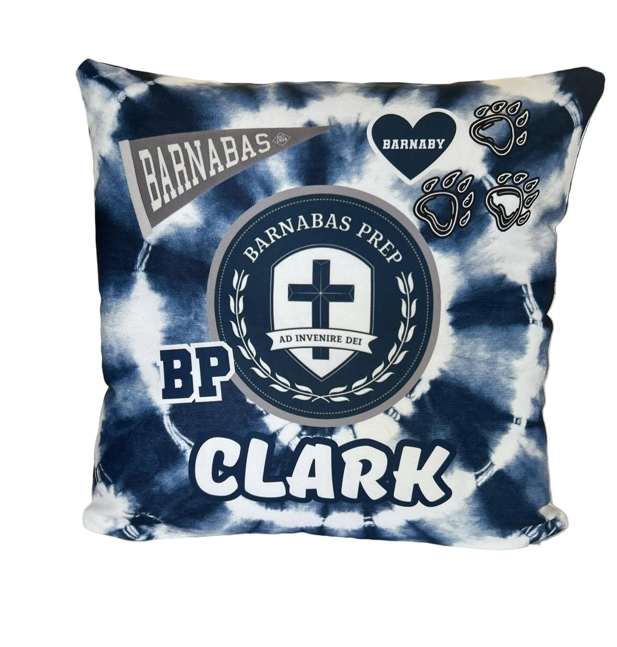 School Spirit Throw Pillows